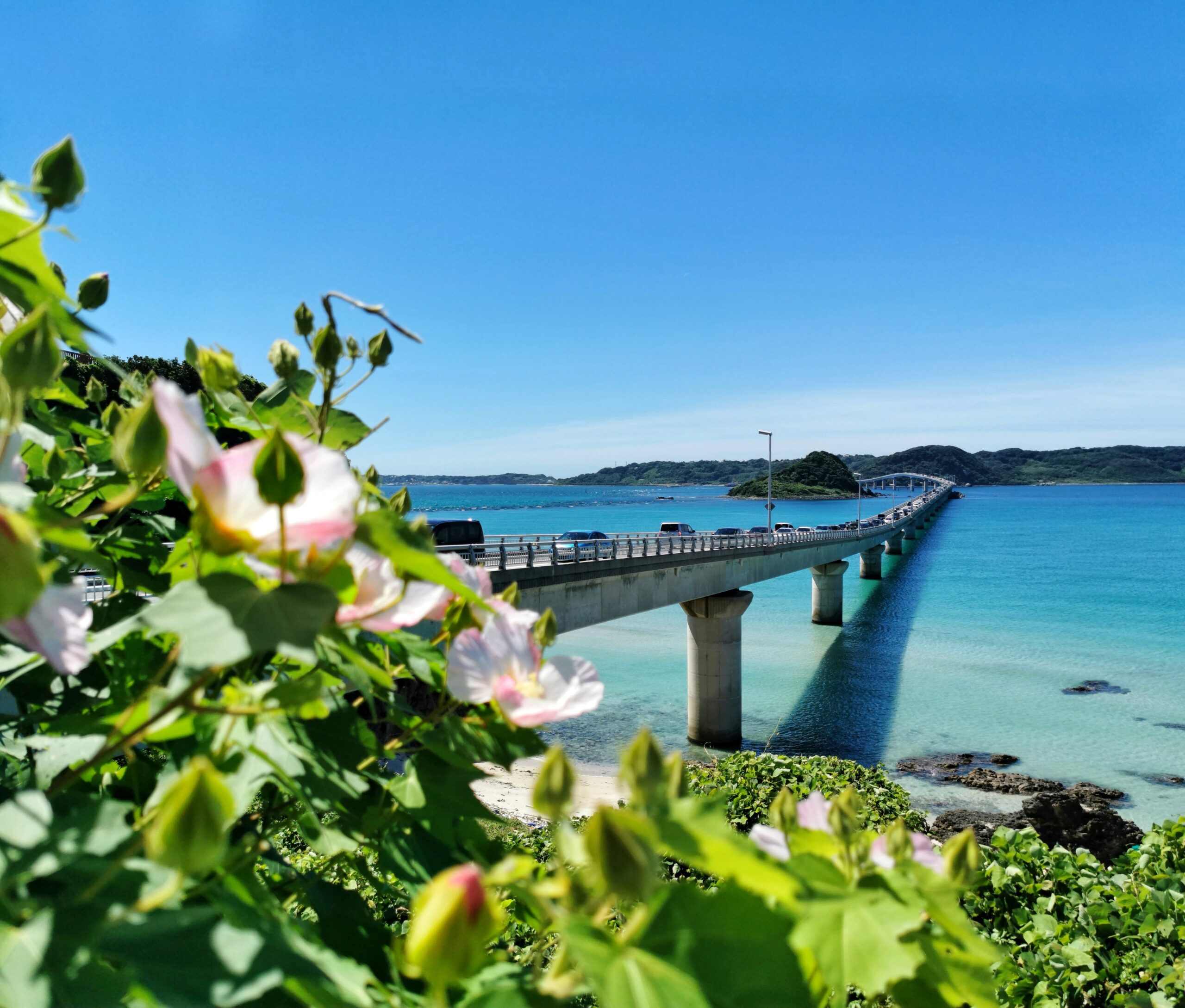 沖縄の海と橋の背景